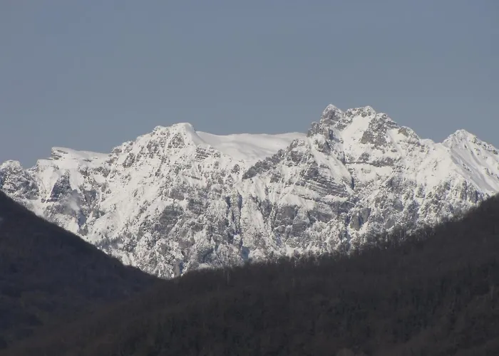 Schiohotel شقة فندقية